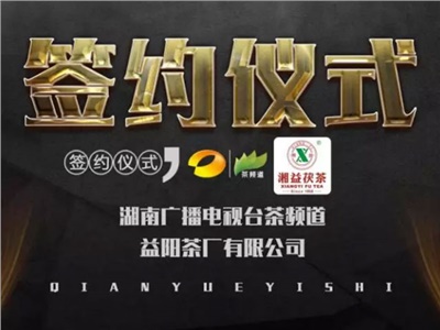 湘益茯，美茗揚 丨湘益茯茶與茶頻道達成長期戰(zhàn)略合作