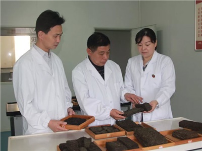 傳承茯茶非遺技藝、開拓創(chuàng)新引領(lǐng)行業(yè)發(fā)展