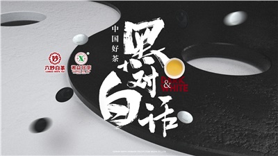 首屆黑白對(duì)話高峰論壇圓滿落幕！湘益茯茶備受關(guān)注！