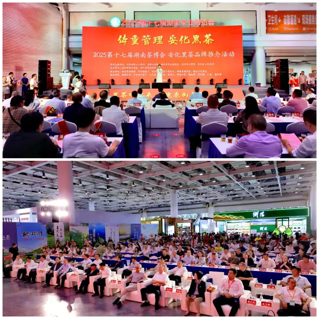 破局邊銷二十載，開啟茯茶新紀元——湘益茯茶“紀廿”新品璀璨發(fā)布